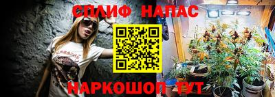 прущие крисы Славгород