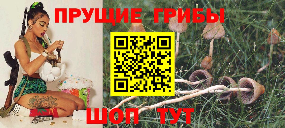 Псилоцибиновые грибы мицелий Трёхгорный